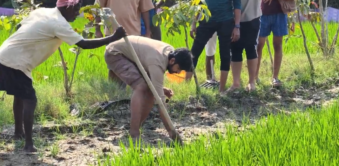 Farming at Vaksana Farms