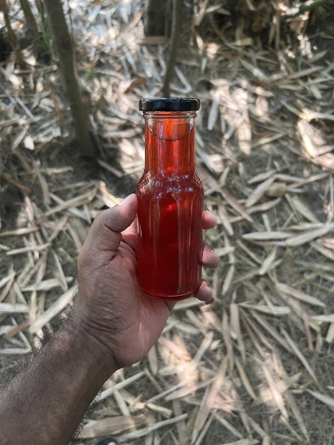 Juice at Vaksana Farms