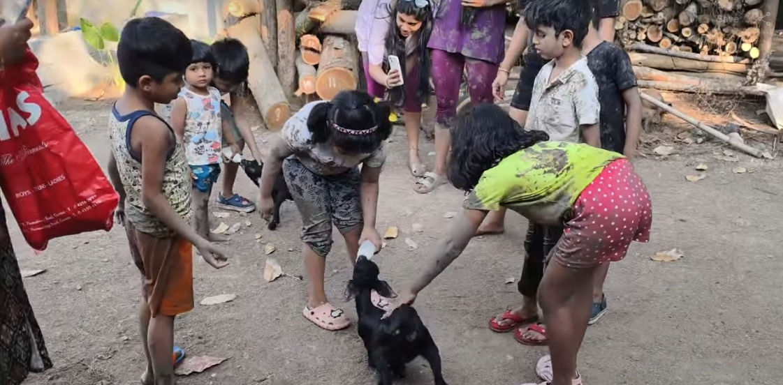 Childrens playing with Animals at Vaksana Farms